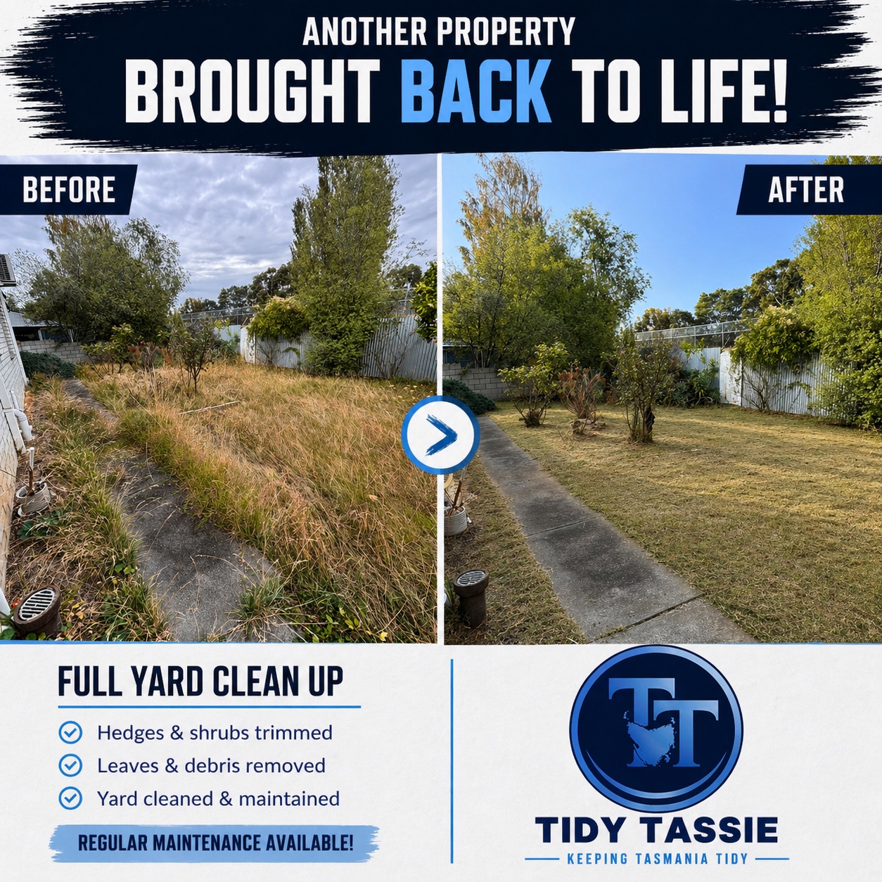 Full yard clean up